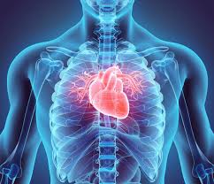 Why is it needed heart transplantation