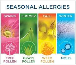 Seasonal allergies
