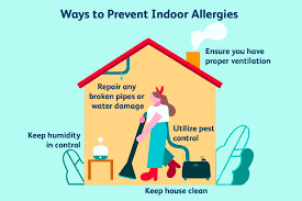 Keep indoors clean