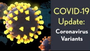 Circulating Area of Coronavirus Variant
